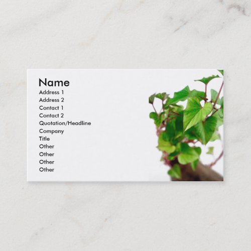 Sweet potato sprouts business card templates