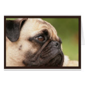 Sweet Pug (Front Horizontal)