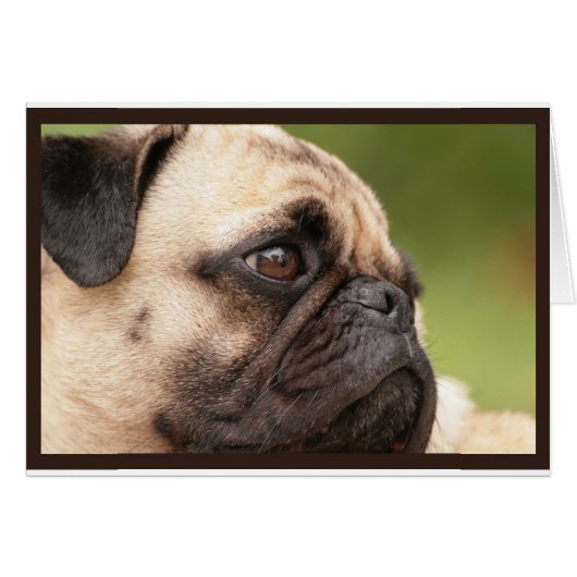Sweet Pug Cards (Front Horizontal)