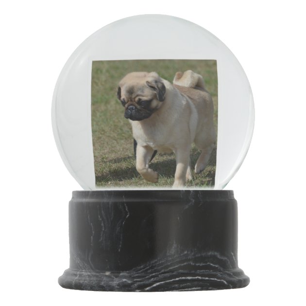 pug snow globe
