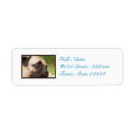 Sweet Pug Label