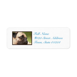 Sweet Pug Label