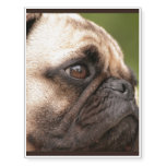 Sweet Pug Temporary Tattoos