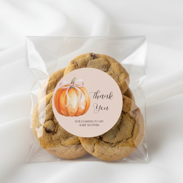Sweet Pumpkin Baby Shower Thank You Classic Round Sticker (Creator Uploaded)