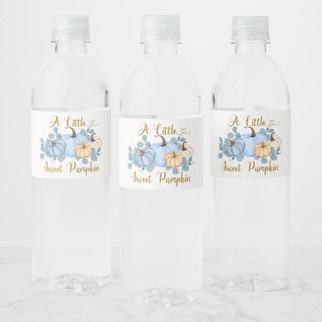 Sweet pumpkin is on the way water bottle label (Bottles)