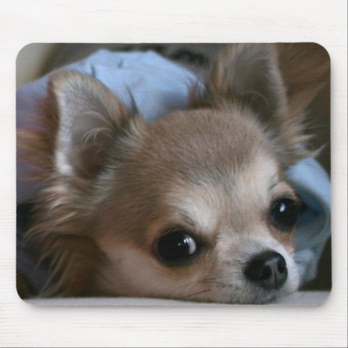 Sweet puppy mouse pad