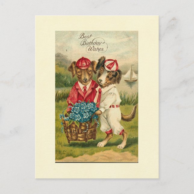 Sweet Pups Best Birthday Wishes Postcard (Front)