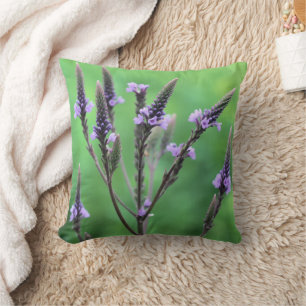 Sweet Purple Vervain Flower   Throw Pillow