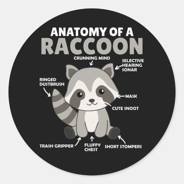 Sweet Raccoon Explanation Anatomy Of A Raccoon Classic Round Sticker (Front)