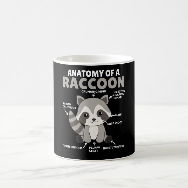 Sweet Raccoon Explanation Anatomy Of A Raccoon Coffee Mug (Center)
