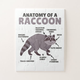 Sweet Raccoon Explanation Anatomy Of A Raccoon Jigsaw Puzzle