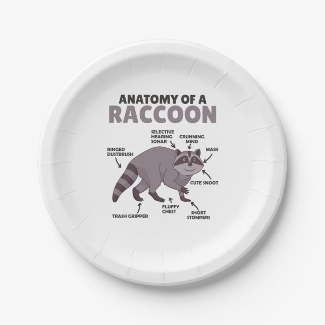 Sweet Raccoon Explanation Anatomy Of A Raccoon Paper Plates (Front)
