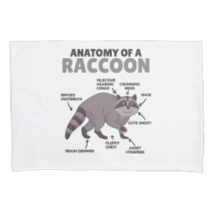 Sweet Raccoon Explanation Anatomy Of A Raccoon Pillow Case