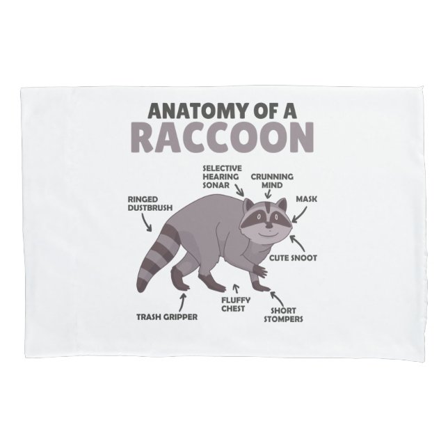 Sweet Raccoon Explanation Anatomy Of A Raccoon Pillow Case (Front)