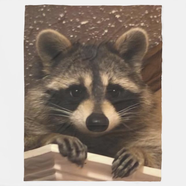 SWEET RACCOON FLEECE BLANKET (Front)