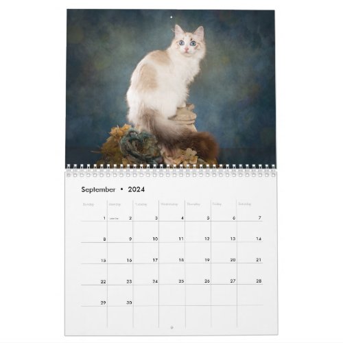 Sweet Ragdoll Kittens Calendar