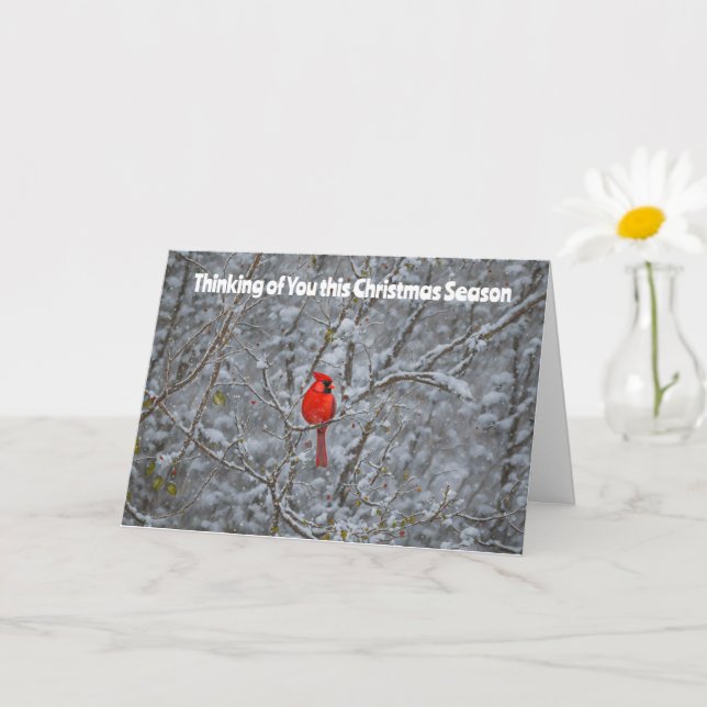 Sweet Red Cardinal Snow Trees Christmas Holiday Card (Small Plant)