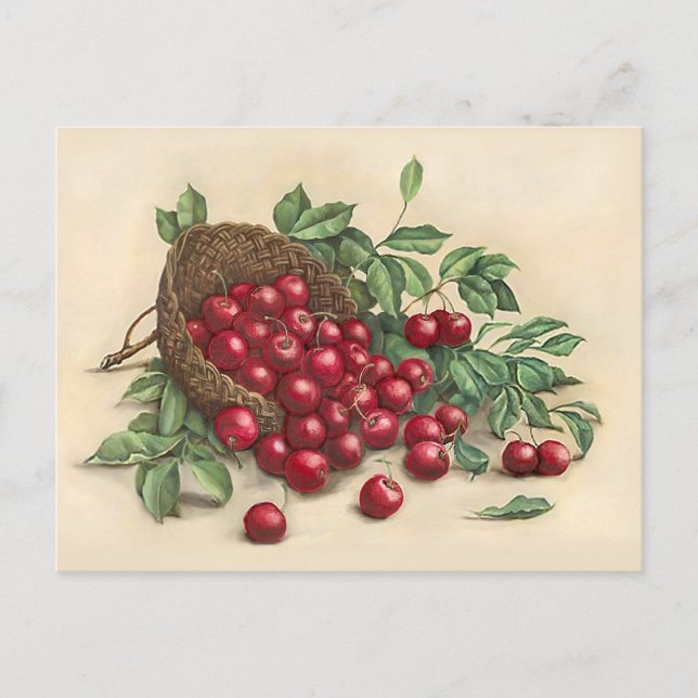 Sweet Red Cherries Postcard (Front)
