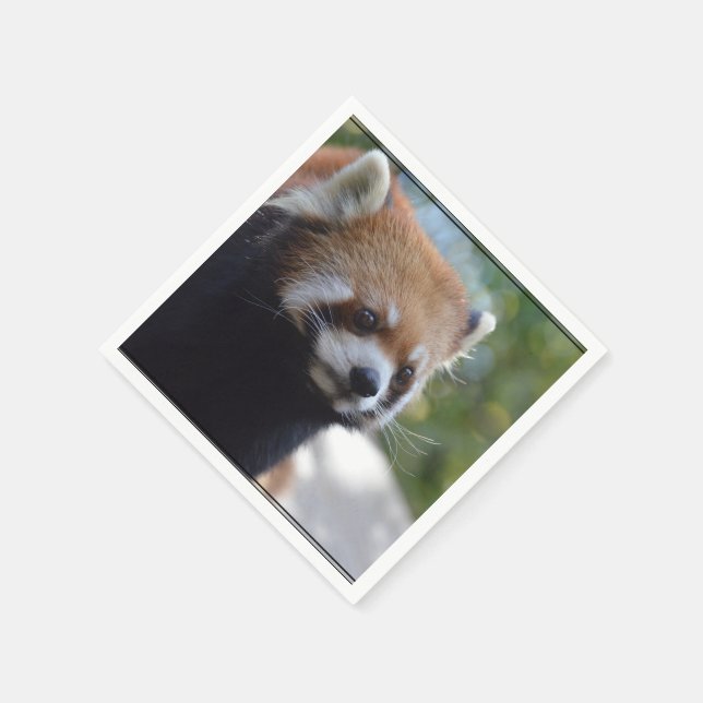 Sweet Red Panda Bear Paper Napkins (Corner)