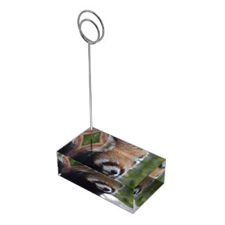 Sweet Red Panda Bear Place Card Holder