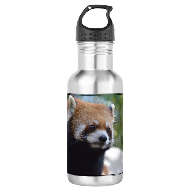 Sweet Red Panda Bear Water Bottle (Front)