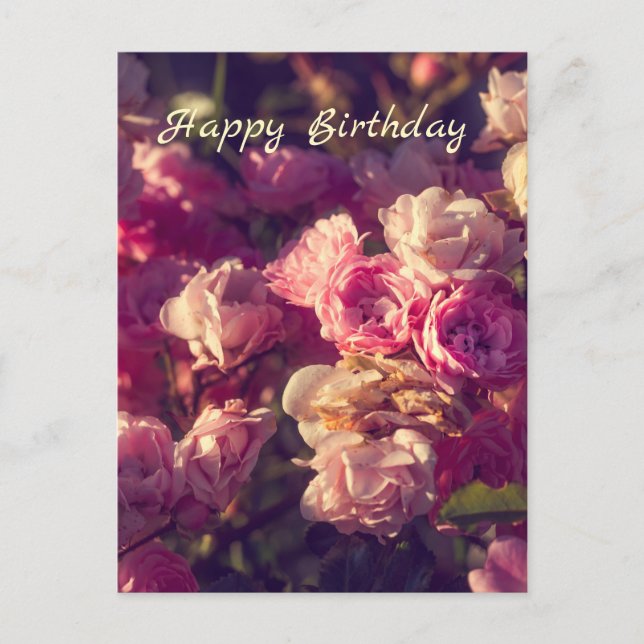 Sweet red roses personalized  postcard (Front)