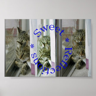 Sweet Reflections Poster