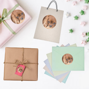 Sweet Ruby Cavalier King Charles Spaniel Classic Round Sticker