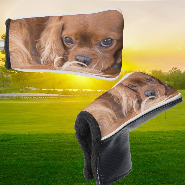 Sweet Ruby Cavalier King Charles Spaniel Golf Head Cover (Creator Uploaded)