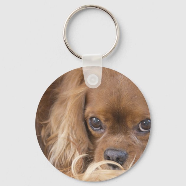 Cavalier king charles deals spaniel keychain