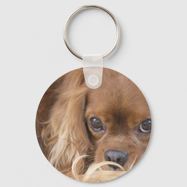 Sweet Ruby Cavalier King Charles Spaniel Keychain (Front)