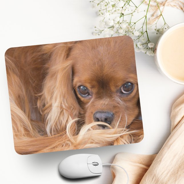 Sweet Ruby Cavalier King Charles Spaniel Mouse Pad (Charming King Charles Spaniel Mousepad: Elevate Your Workspace with Adoration.)