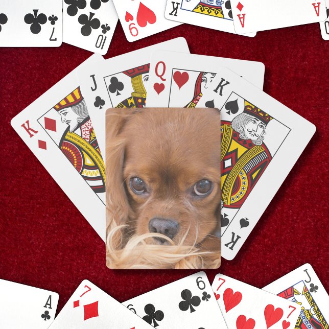 Sweet Ruby Cavalier King Charles Spaniel Poker Cards (Creator Uploaded)