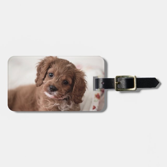 Sweet Ruby Cavapoo Puppy Dog Luggage Tag (Front Horizontal)