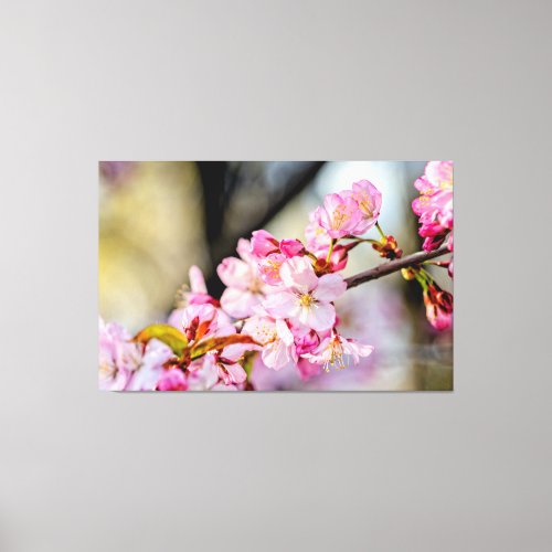 Sweet Sakura Flowers In The Garden In Springtime Canvas Print