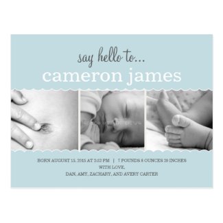 Sweet Scallops Birth Announcement - Baby Boy Postcard