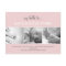 Sweet Scallops Birth Announcement - Baby Girl