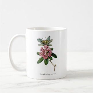 Sweet Scents of Summer: Rhododendron viscosum Mug