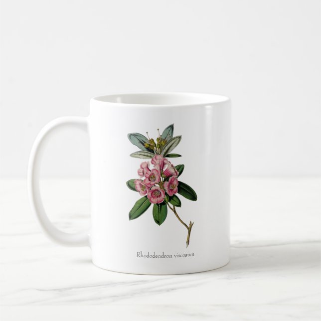 Sweet Scents of Summer: Rhododendron viscosum Mug (Left)