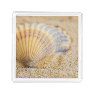 Sweet Seashell Acrylic Tray