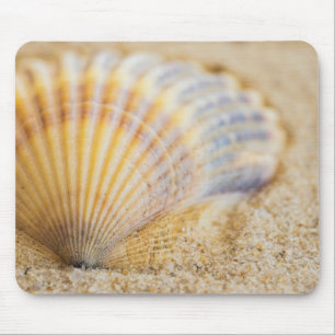 Sweet Seashell Mouse Pad