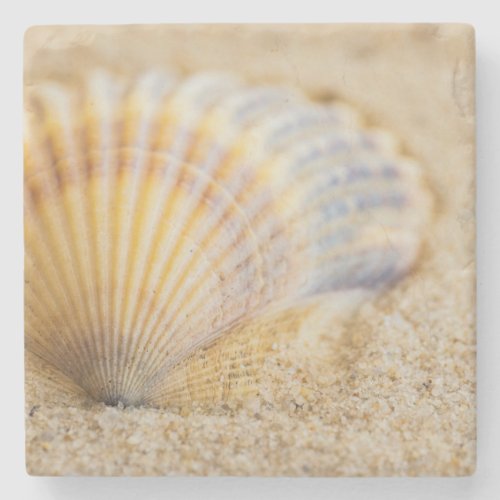 Sweet Seashell Stone Coaster