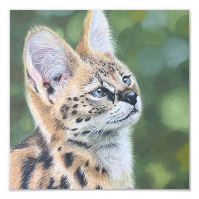 Sweet Serval Photo Print (Front)