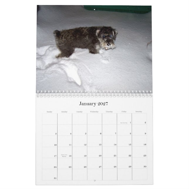 sWEET sHAMUS thru the dayZ Calendar (Jan 2027)