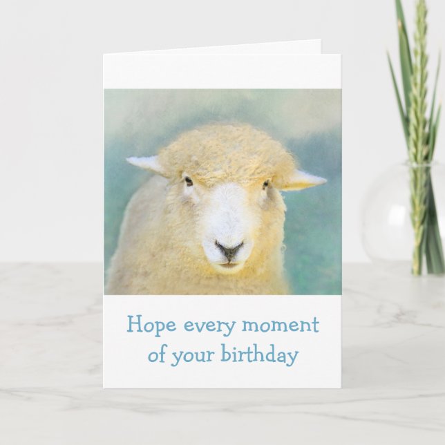Sweet Sheep Birthday Card (Front)