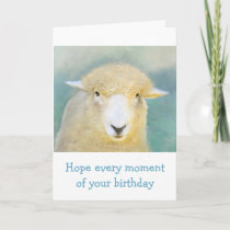 Sweet Sheep Birthday Card