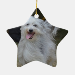 Sweet Sheepdog Ceramic Ornament