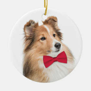 Sweet Sheltie Christmas Ornament