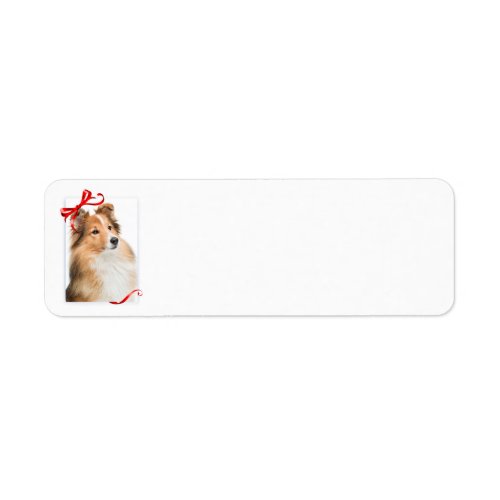 Sweet Sheltie Return Address Labels