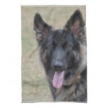 Sweet Shiloh Shepherd Towel